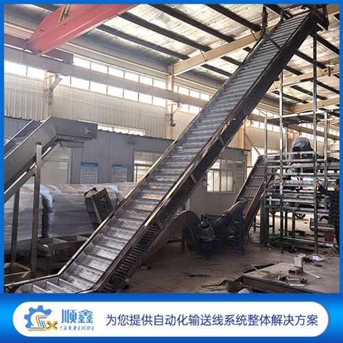 坚果上料链板提升机